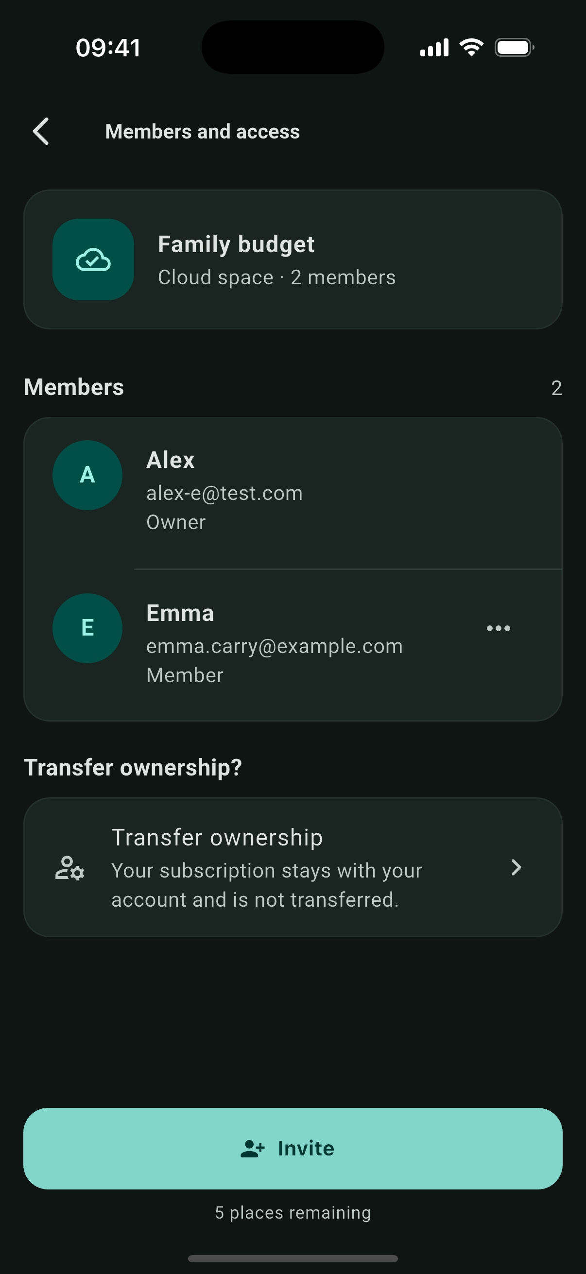 Carry Cloud members and access screen for a shared space